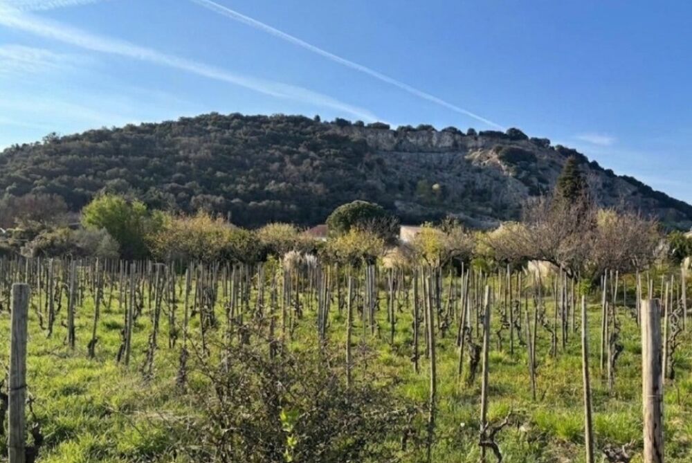 vente Terrain - 520 m² Cornas (07130)