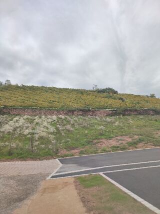  Terrain � vendre 505 m�