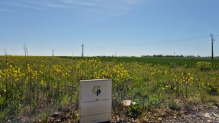  Terrain 250 m� Saint-m�dard-d'aunis