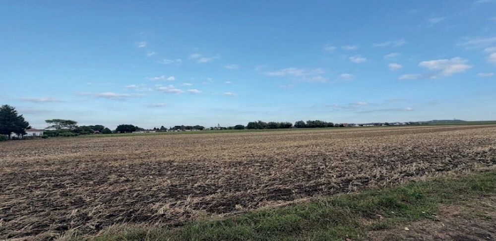 vente Terrain - 500 m² Sailly-Labourse (62113)