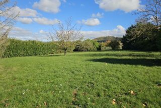  Terrain 1205 m� Ch�tenay