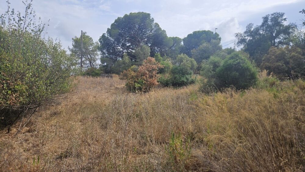 vente Maison - 4 pièce(s) - 74 m² Fréjus (83600)