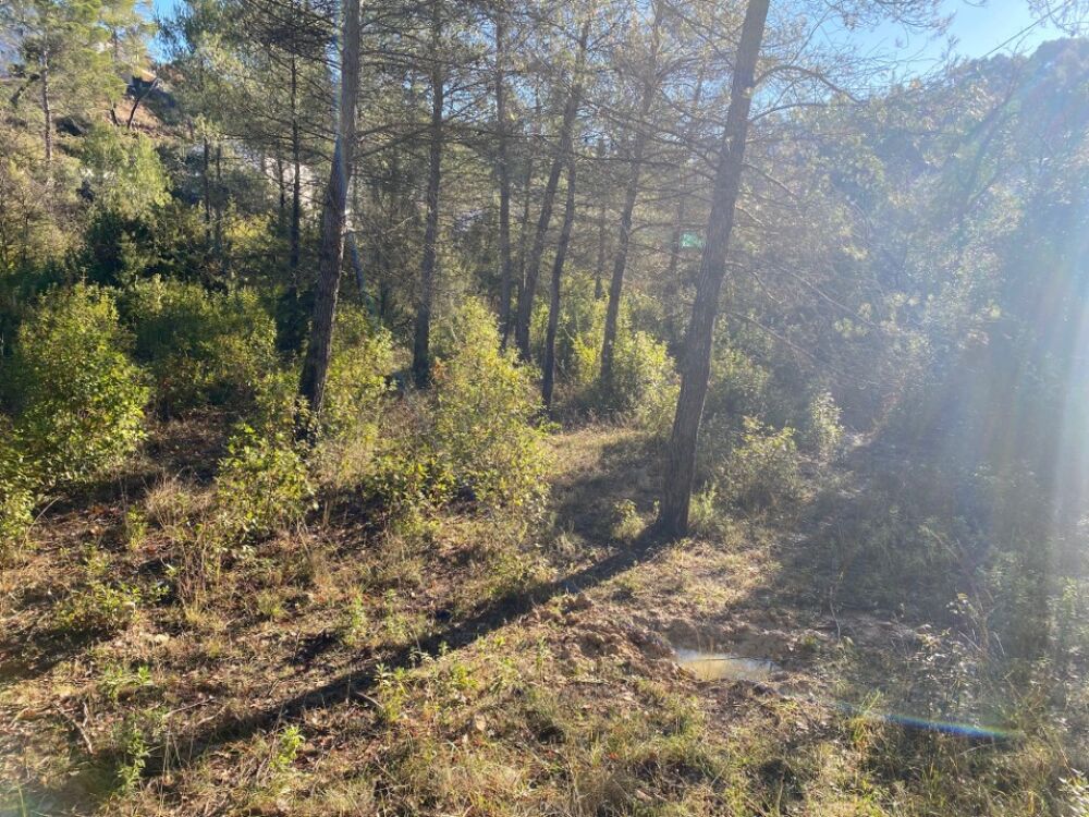 vente Maison - 3 pièce(s) - 60 m² Brignoles (83170)