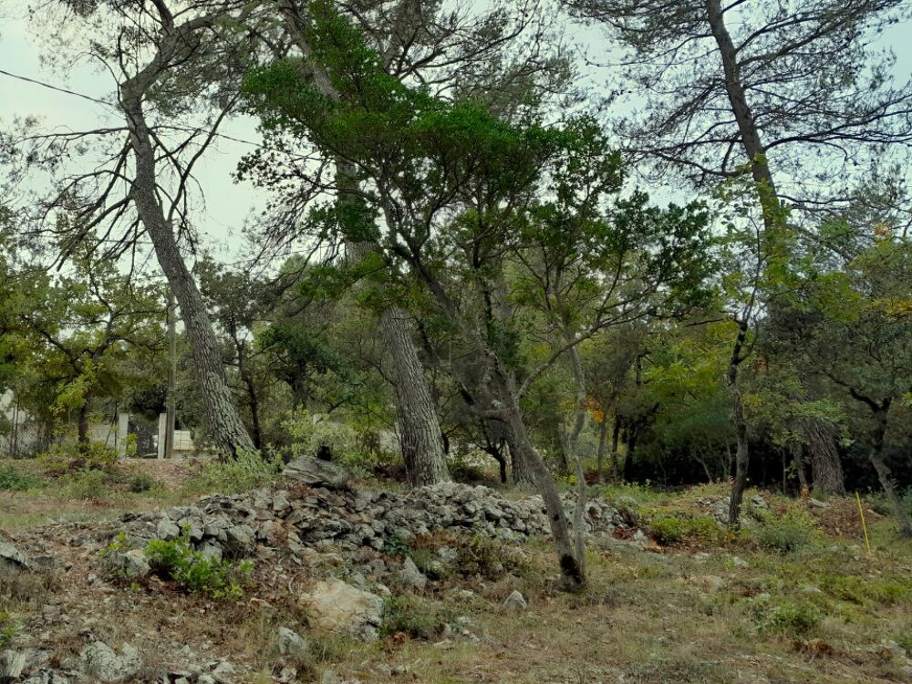 vente Terrain - 600 m² Saint-Maximin-la-Sainte-Baume (83470)