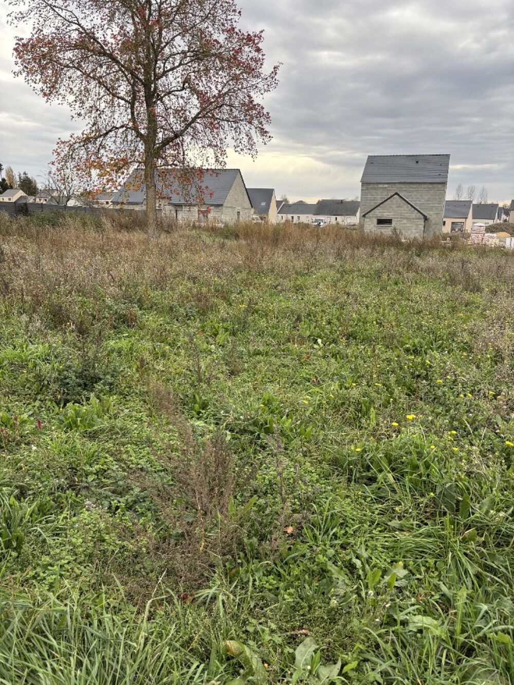 Maison de 6 pièces (142 m²) à vendre à La Membrolle-sur-....