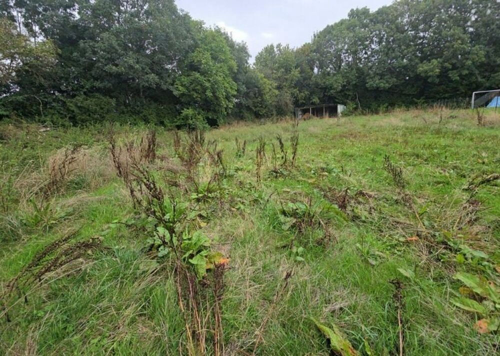 vente Maison - 5 pièce(s) - 100 m² Fourmetot (27500)