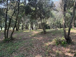  Terrain 1317 m� Biot