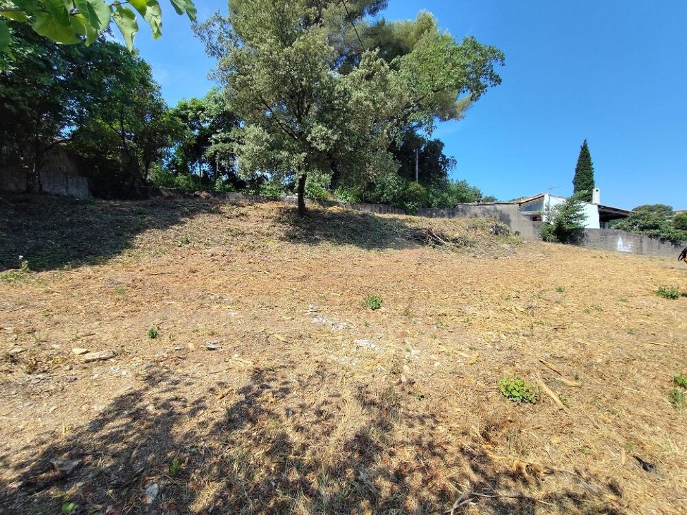 vente Terrain - 1104 m² Draguignan (83300)