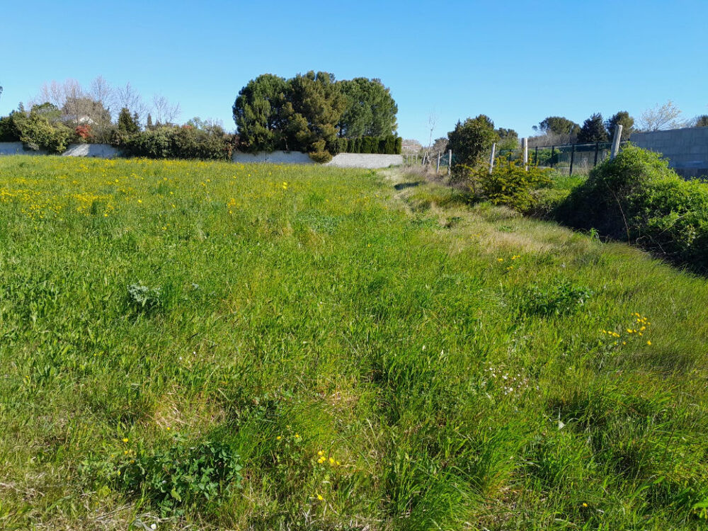 vente Maison - 5 pièce(s) - 100 m² Bédarrides (84370)