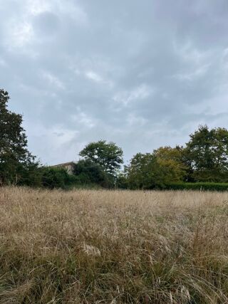  Terrain 768 m� Castelnau-de-montmiral