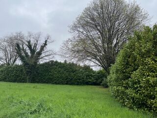  Terrain à vendre 555 m²