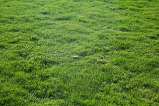  Terrain  vendre 324 m