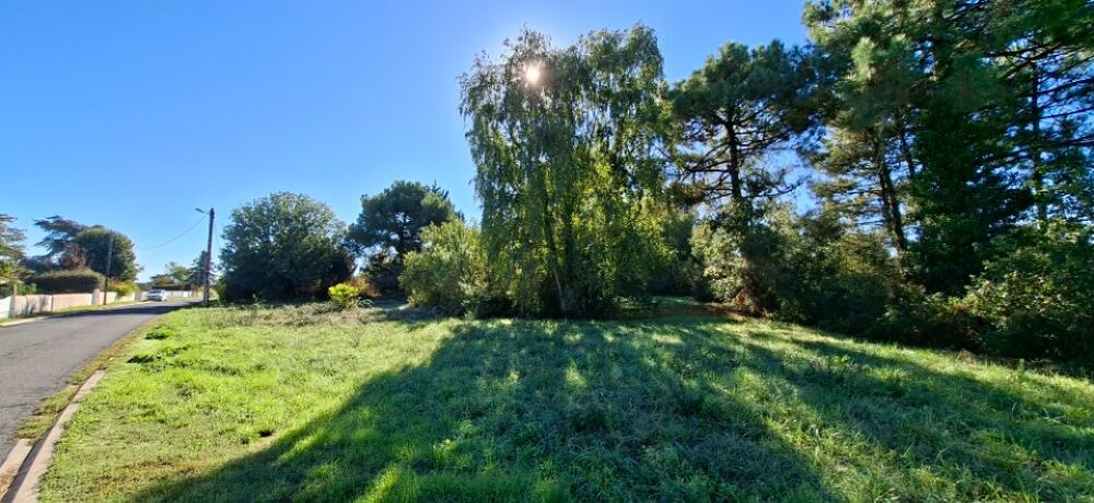 vente Terrain - 533 m² Étaules (17750)