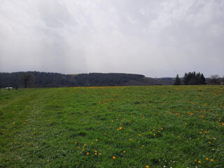  Terrain à vendre 1500 m²