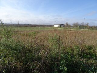 Terrain à vendre 450 m²