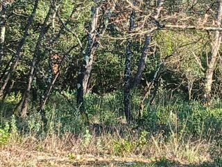  Terrain � vendre 857 m�