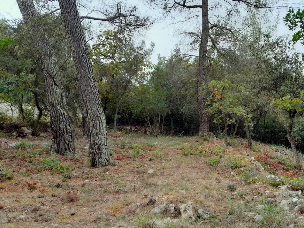 vente Terrain - 800 m² Saint-Maximin-la-Sainte-Baume (83470)
