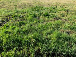  Terrain � vendre 739 m�