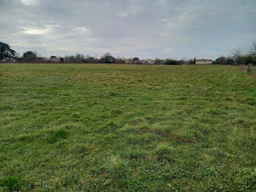 vente Maison - 4 pièce(s) - 72 m² Montauban (82000)