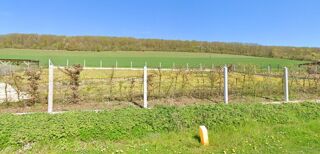  Terrain à vendre 1200 m²