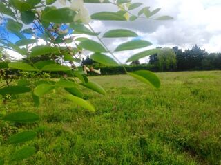  Terrain  vendre 489 m