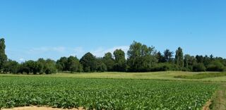 vente Terrain - 612 m² Mareil-le-Guyon (78490)