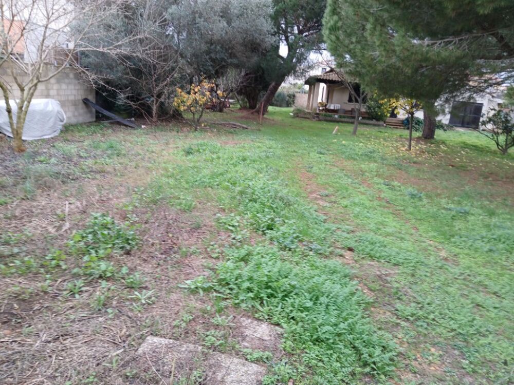 Maison Mila de 105 m² proposée ici sur 234 m² de terrain....
