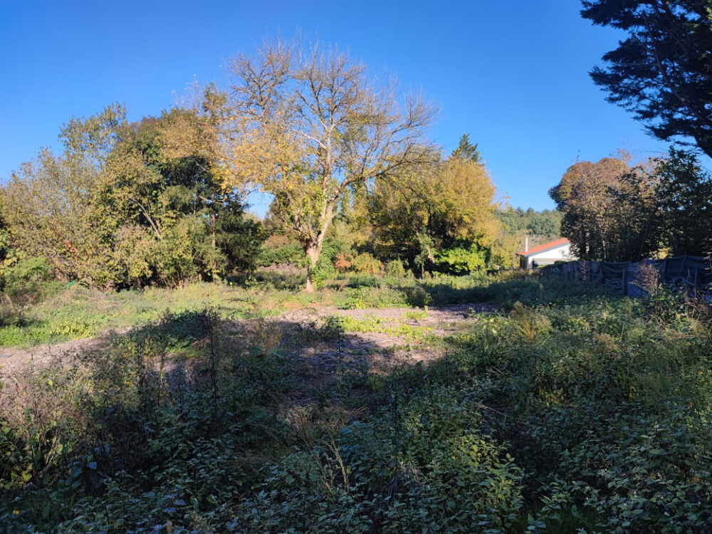 vente Terrain - 750 m² Camarsac (33750)
