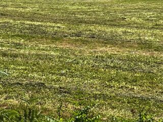  Terrain � vendre 497 m�