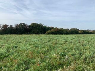  Terrain � vendre 200 m�