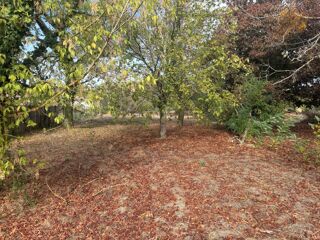 vente Terrain - 736 m² Buzet-sur-Tarn (31660)
