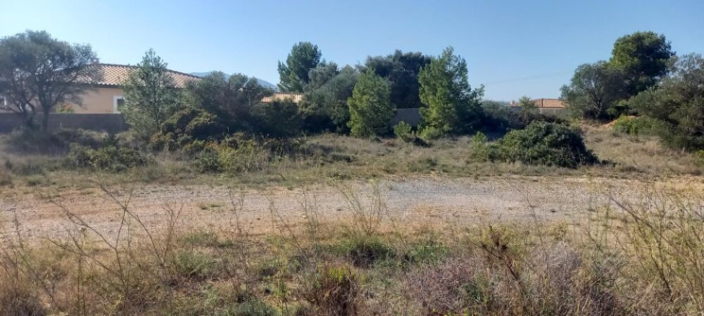 Découvrez le modèle Croix du sud, une maison au design u....