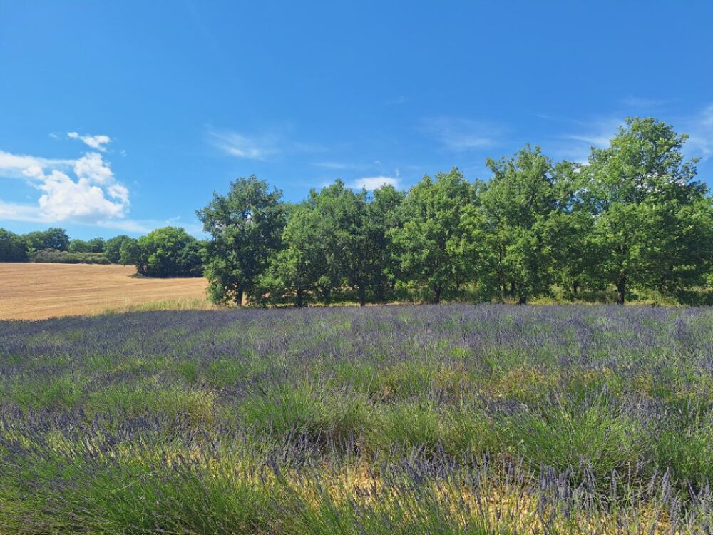 MAISONS DE MANON MANOSQUE vous propose de réaliser pour ....