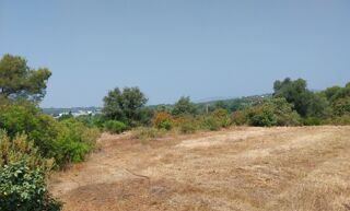  Terrain 839 m� Fr�jus