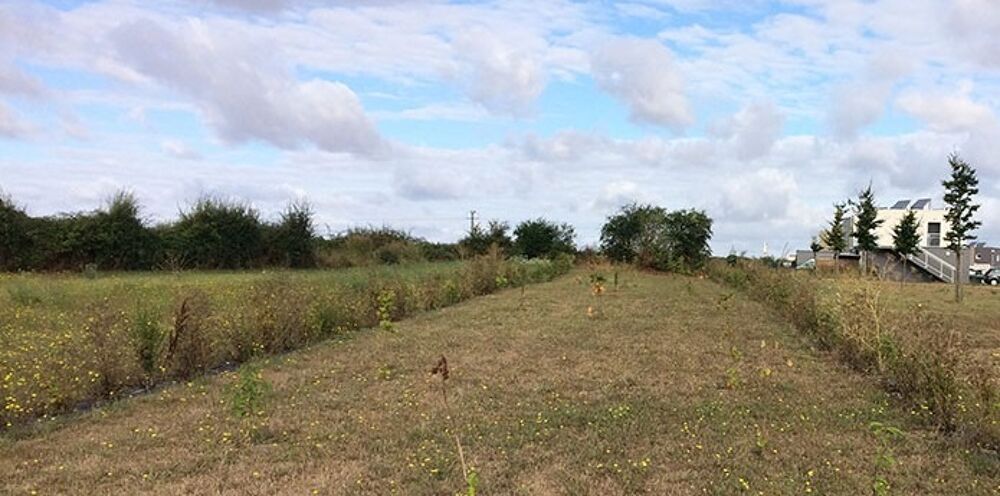 vente Terrain - 380 m² Moult (14370)