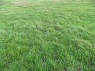  Terrain � vendre 300 m�