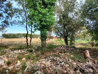  Terrain à vendre 1056 m²
