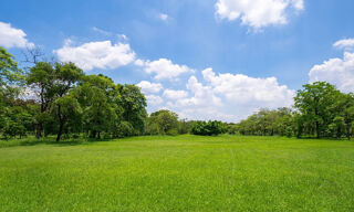  Terrain � vendre 485 m�