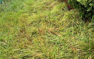  Terrain � vendre 730 m�