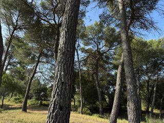  Terrain  vendre 550 m