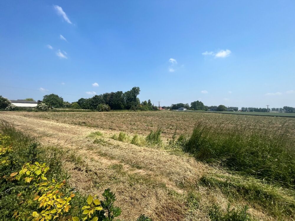 vente Terrain - 444 m² Thélus (62580)