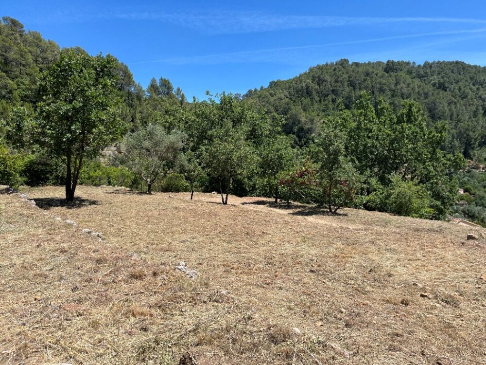 vente Terrain - 1017 m² Belgentier (83210)