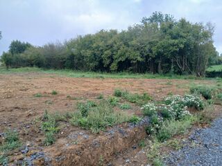  Terrain à vendre 1200 m²