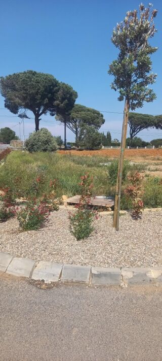  Maison 7 pi�ces 139 m� Sall�les-d'aude