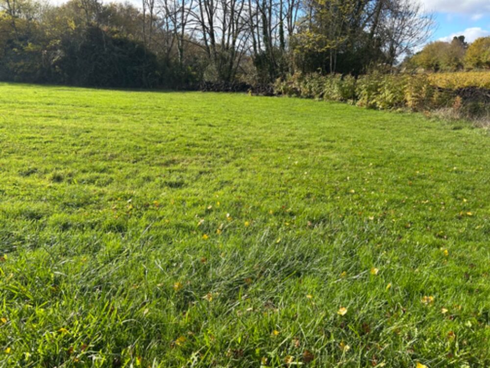vente Terrain - 730 m² Portets (33640)
