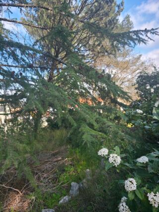  Maison 4 pi�ces 71 m� Marignane