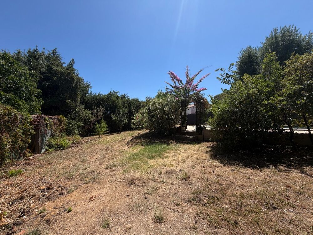 vente Terrain - 573 m² Restinclières (34160)