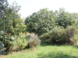  Terrain � vendre 720 m�