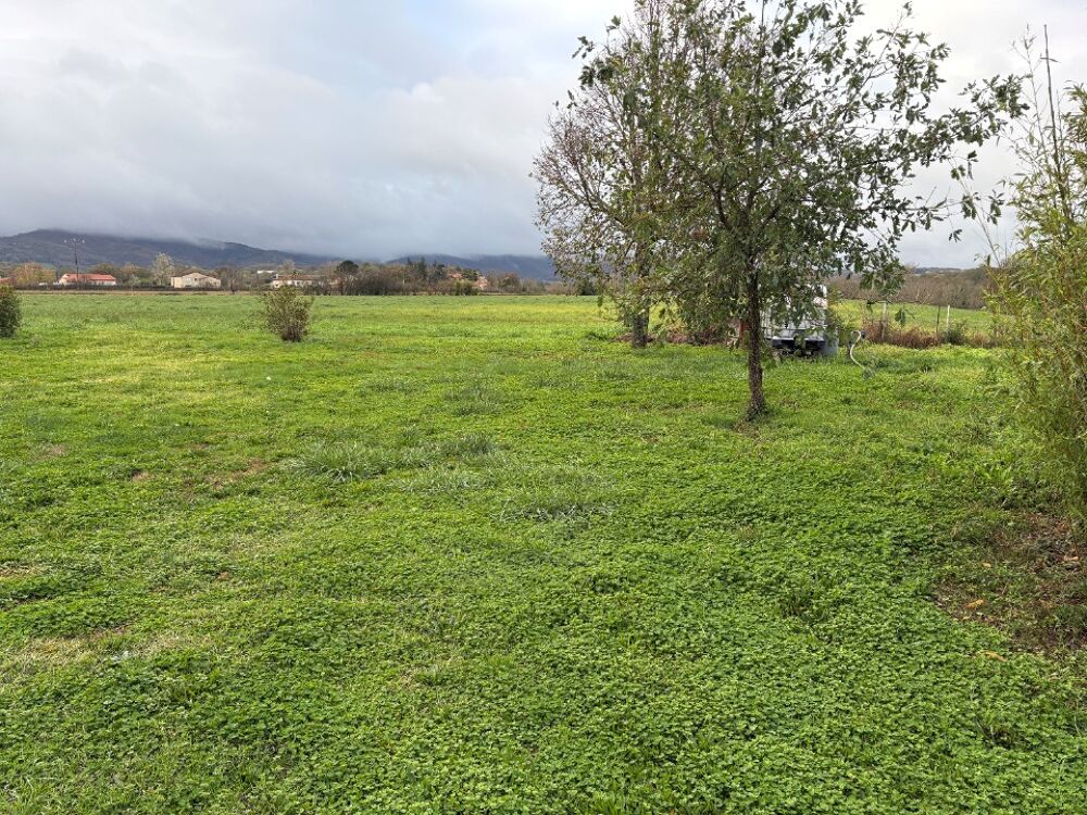 vente Maison - 6 pièce(s) - 95 m² Labruguière (81290)