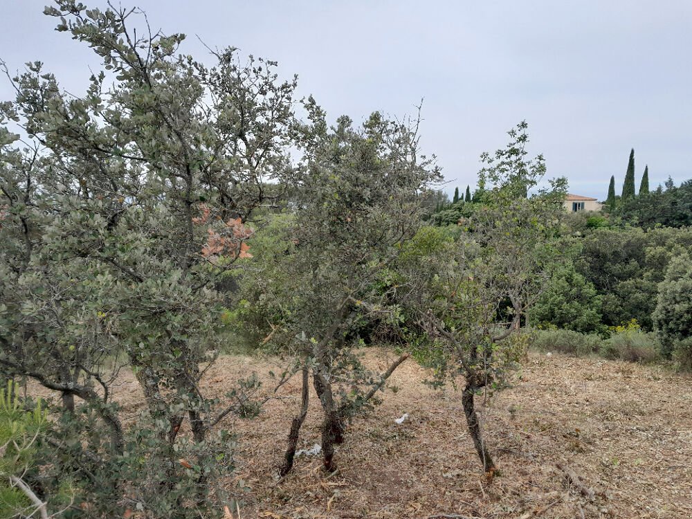 vente Terrain - 465 m² Villeneuve-lès-Avignon (30400)